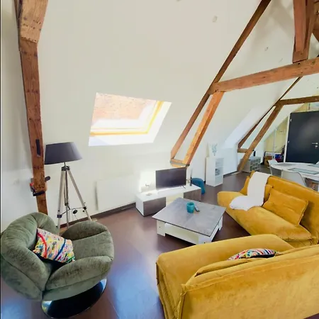 Le Loft Des Poutres 아파트 La Fere