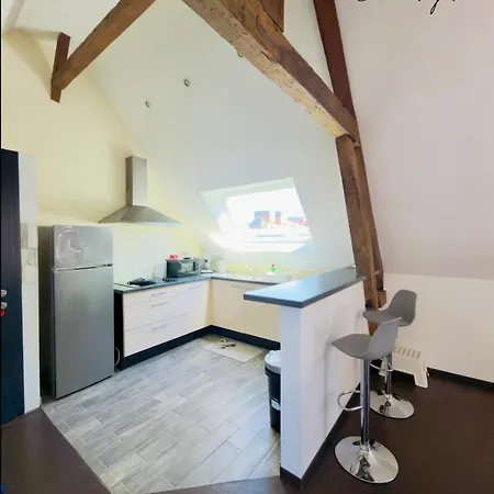 아파트 Le Loft Des Poutres